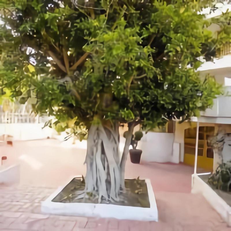 Luminoso Apartamento En Salou Con Terraza Y Parque Infantil Ideal Familias Buitenkant foto